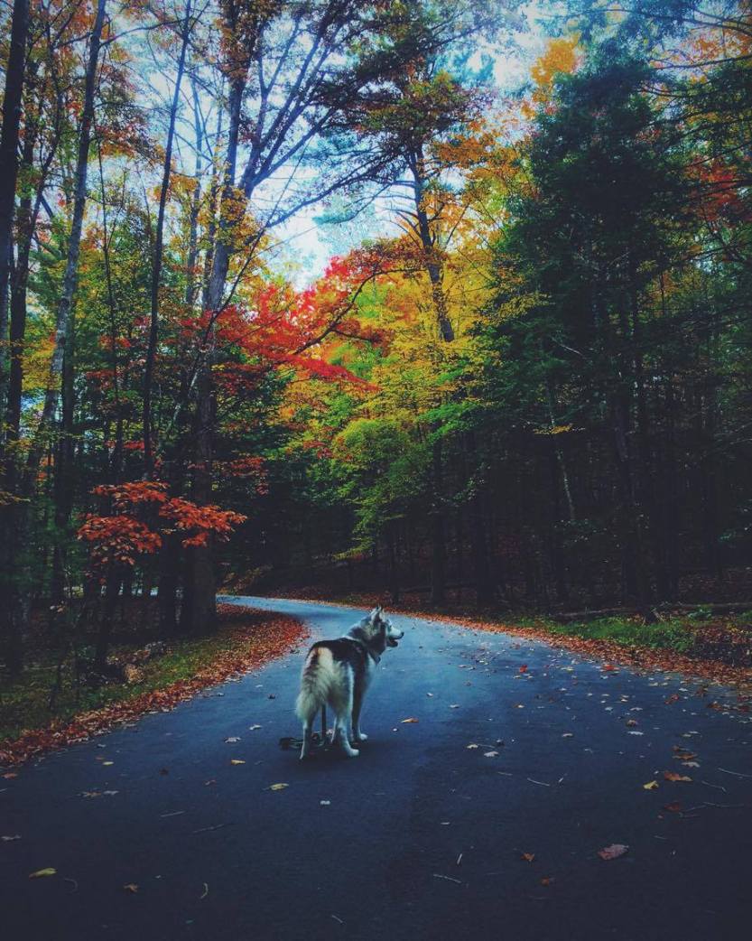 14393898_849625271805744_530459159_o