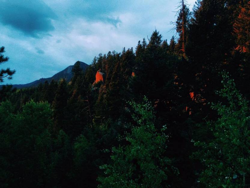 14536573_857540417680896_322263175_o