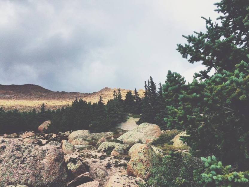 14536968_857540424347562_1610317148_o