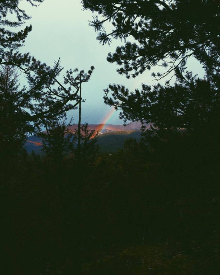 14571977_857540291014242_757009221_o