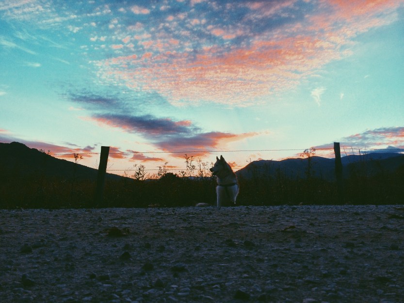 Processed with VSCO with p5 preset